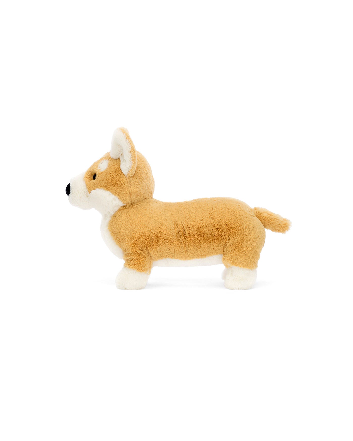 BETTY CORGI BET3C