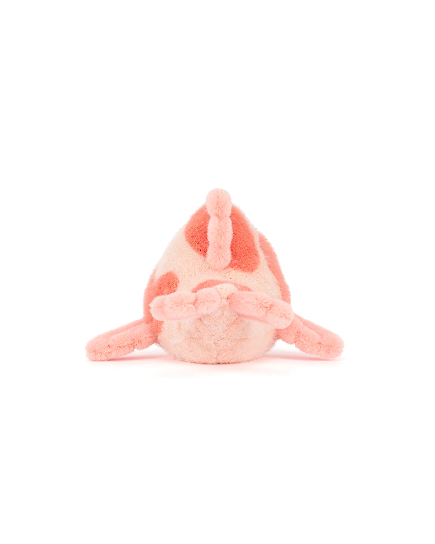 FANCY CARP