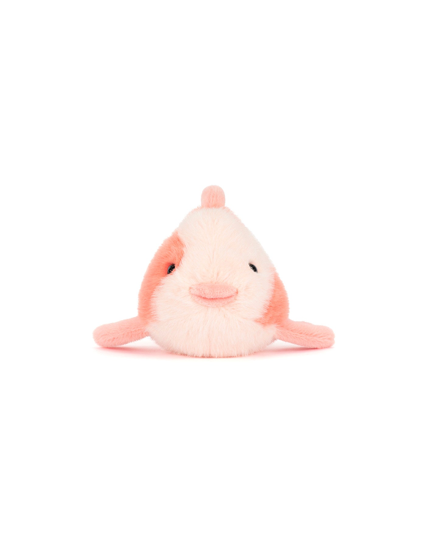 FANCY CARP