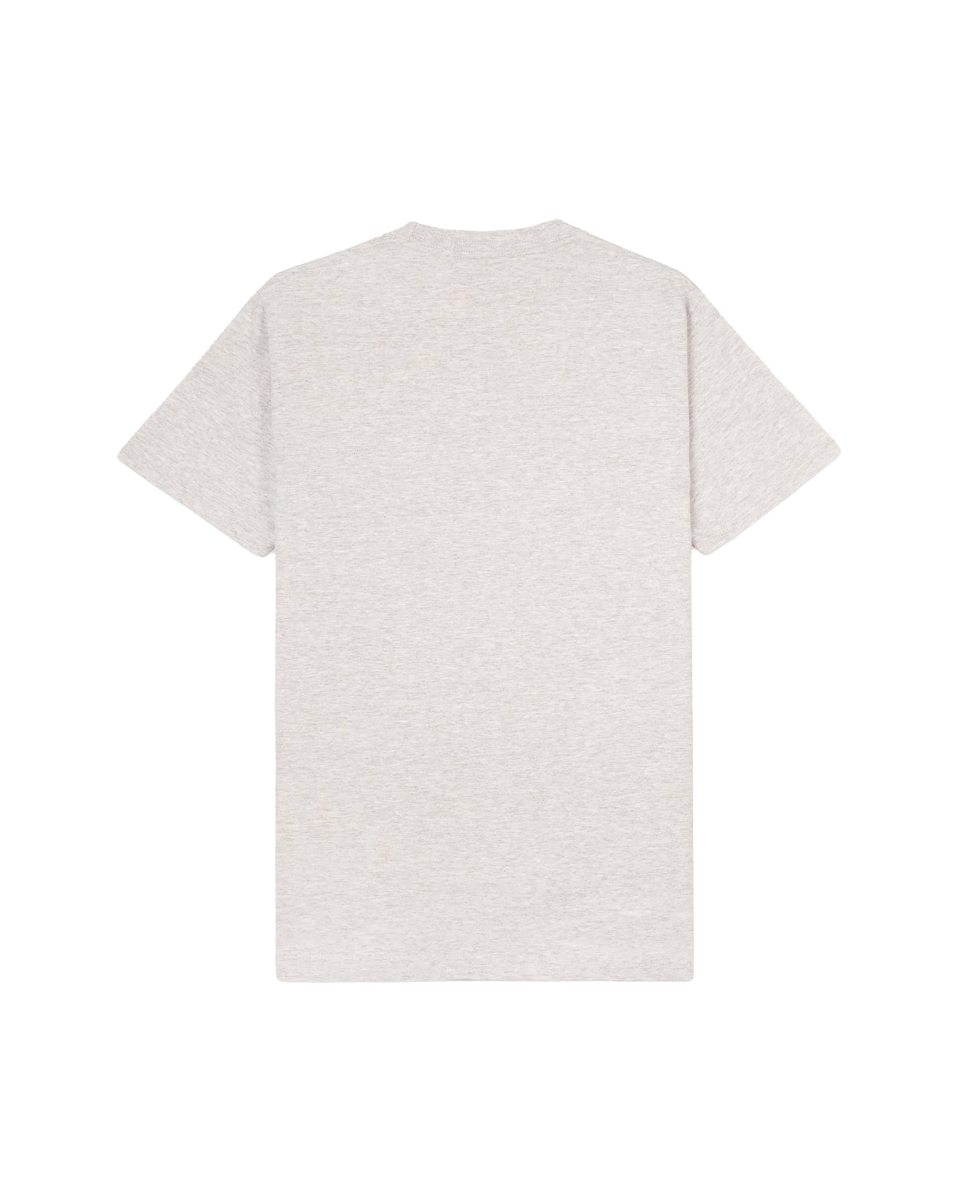 USA WELLNESS CLUB TSHIRT HEATHER GRAY