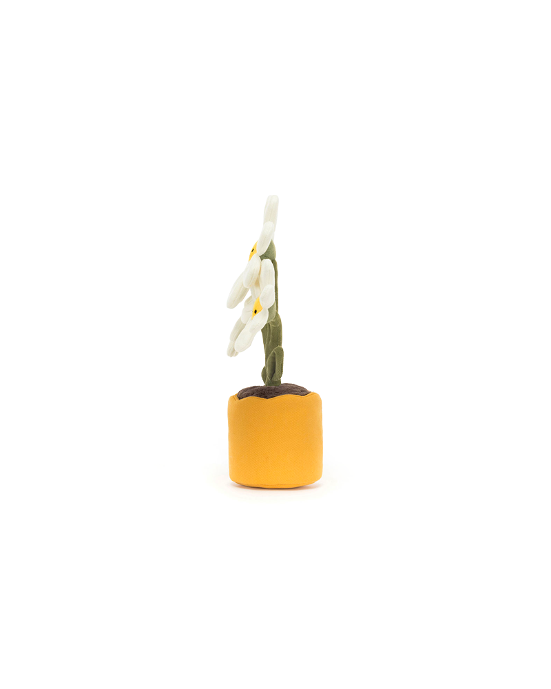 AMUSEABLES DAISY