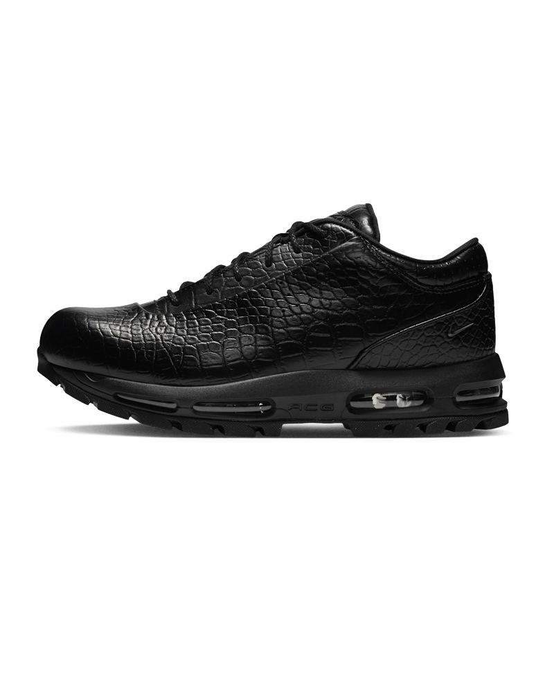 AIR MAX GOADOME LOW BLACK