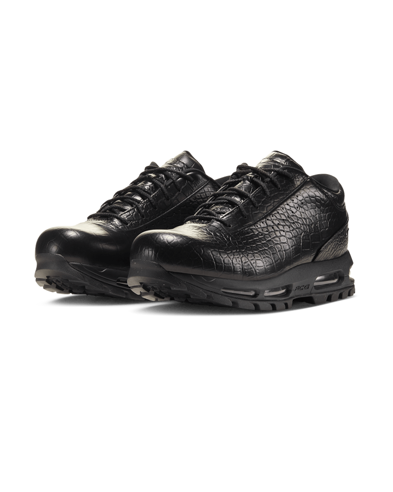 AIR MAX GOADOME LOW BLACK